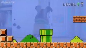 Муд Барбоскины Роза пукнула и Генка шизанулся