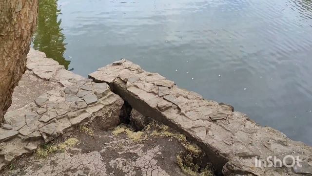 Сложный период // Прогулка по Краснодару // Наедине с собой.... Mariya VD LIFE. смотреть онлайн