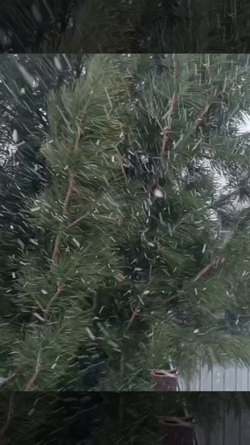 Пасха.Метель.Новосибирск.