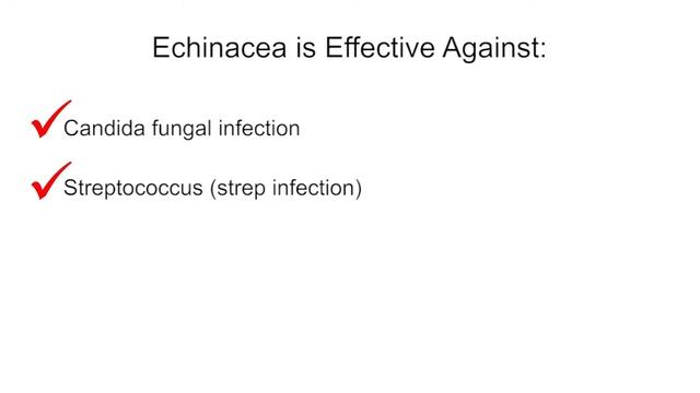 Finlandia Echinacea Root Fluid Extract смотреть онлайн