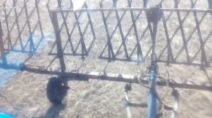 Боронование многолетки