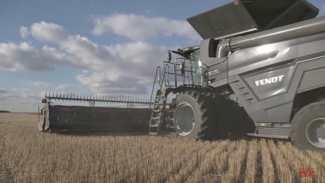 FENDT IDEAL 8T Combine Harvesting Wheat