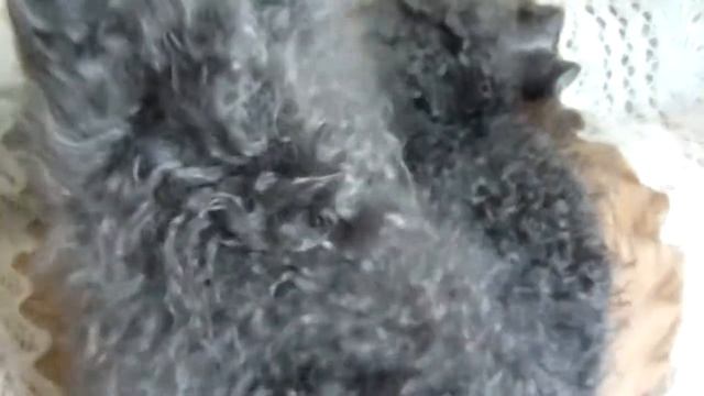 Пуховые изделия в наличии .