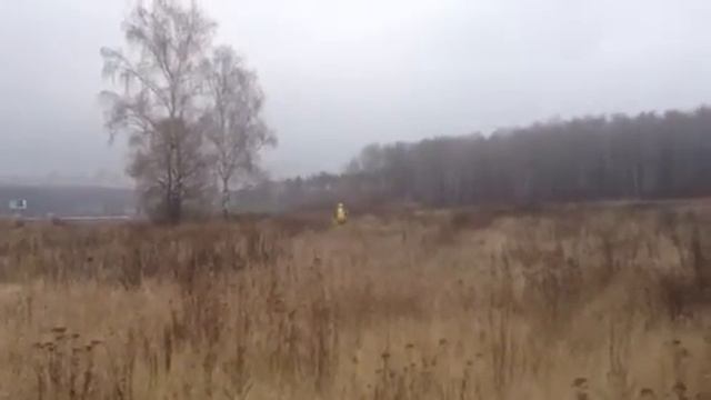 Егор 1 ноя 4 смотреть онлайн