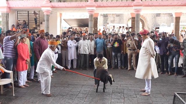 कोल्हापूरचा शाही दसरा 2022 ॥ Bakara Qurbani Royal Dasara Festival Kolhapur #kolhapur #dashehra смотреть онлайн