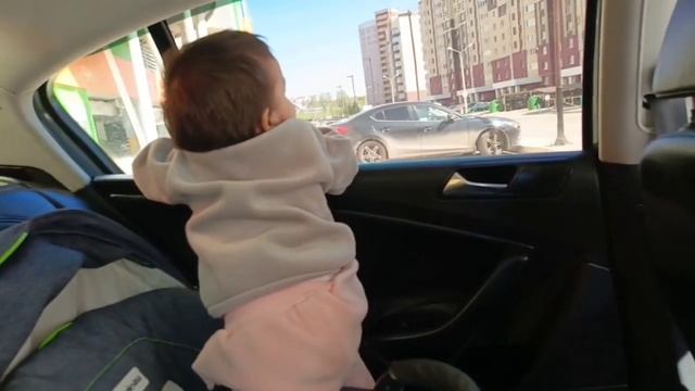 Влог. Разделали 8 кг мясо. Отдала в зоомагазин свинок.  Едем в Рузаевку.