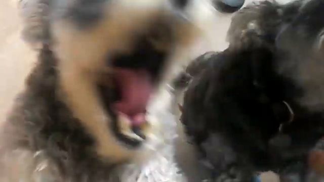 May 13 MKV no edit смотреть онлайн