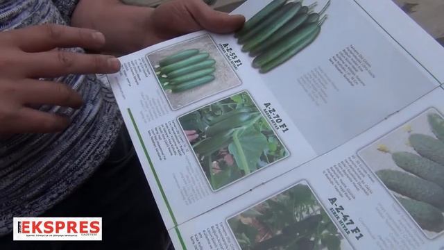 Fideleri çeşitleri ve nasıl almalıyız смотреть онлайн