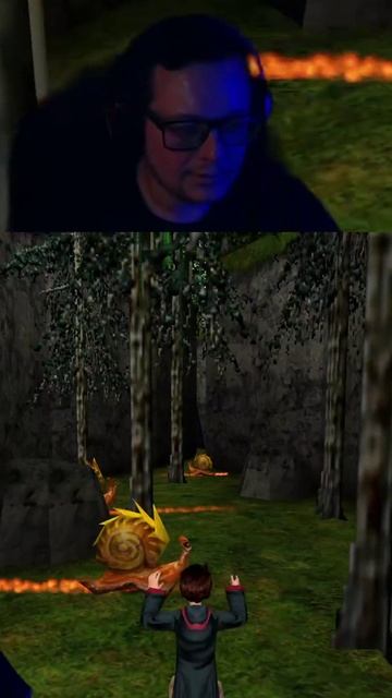 Гарри поттер - Новый стример, новый член | #kntrbzdo с помощью #Twitch