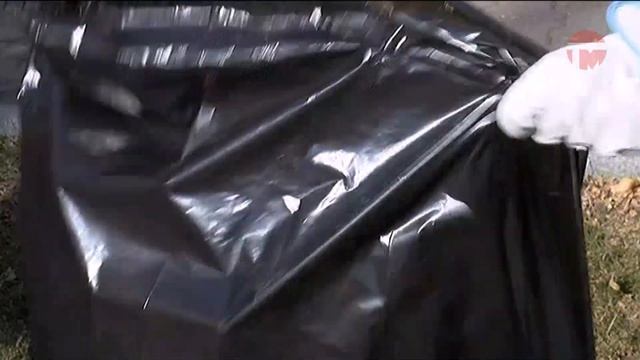 Общегородской субботник прошел сегодня в Уссурийске смотреть онлайн