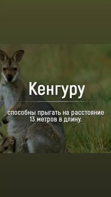 Шокирующие Факты, о которых ты не знал(а)🙀 #shorts смотреть онлайн