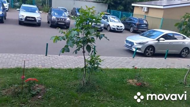 мехмон аз точикистон .