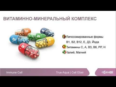Иммун селл(Immune Cell)