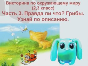 Викторина о природе, занимательные вопросы. Часть 3. Квиз про природу. Грибы. Узнай по описанию