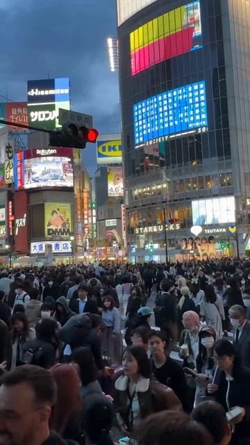 Токио. час пик. человейник.