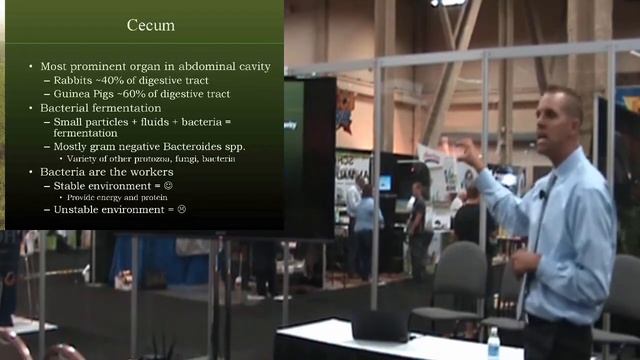 SuperZoo 2015: How To Ensure Small Herbivore Health From Hay to Habitat DrKohles смотреть онлайн