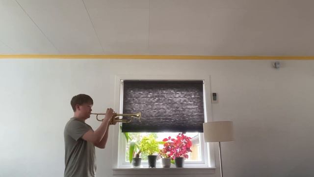 Лев Коган Концерт для трубы 1 часть