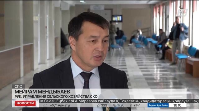 В Северном Казахстане завершили уборку зерновых смотреть онлайн