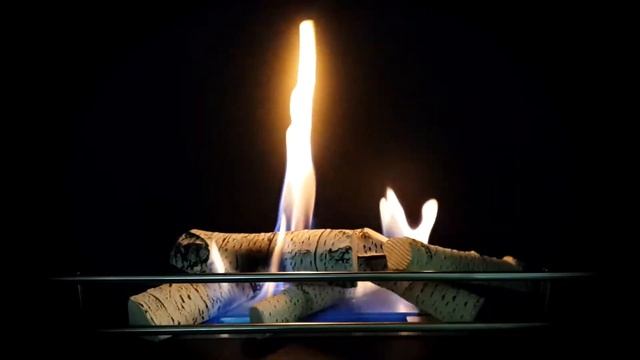 Levina BIO смотреть онлайн