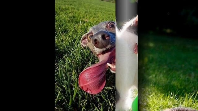 Если с другом вышел в путь...)))