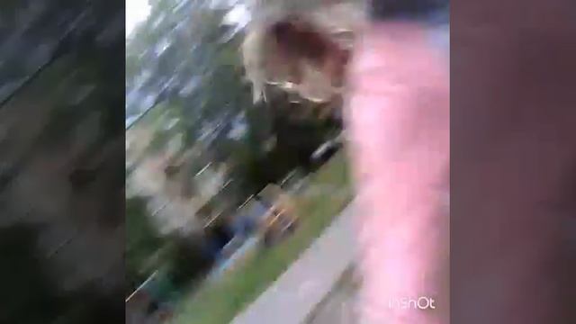 Пародия песни Марьяна Ро идиоты. смотреть онлайн