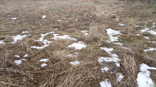 КАК РАЗРАБОТАТЬ ЗАРОСШИЙ смотреть онлайн