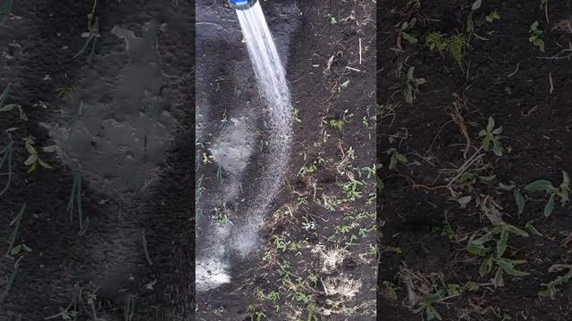 Шланг для полива саморастягивающийся смотреть онлайн