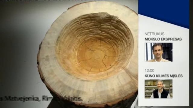 Austėja Dudaitė Landsbergienė. Vandens filtras смотреть онлайн