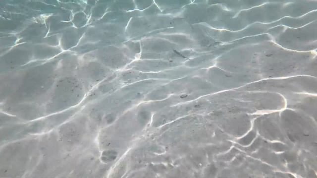 Furaveri Maldives - Trip to see the Manta Rays | Top Activities on this Tropical Paradise (4K HDR) смотреть онлайн