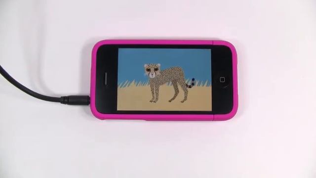 Peekaboo Wild App Review смотреть онлайн