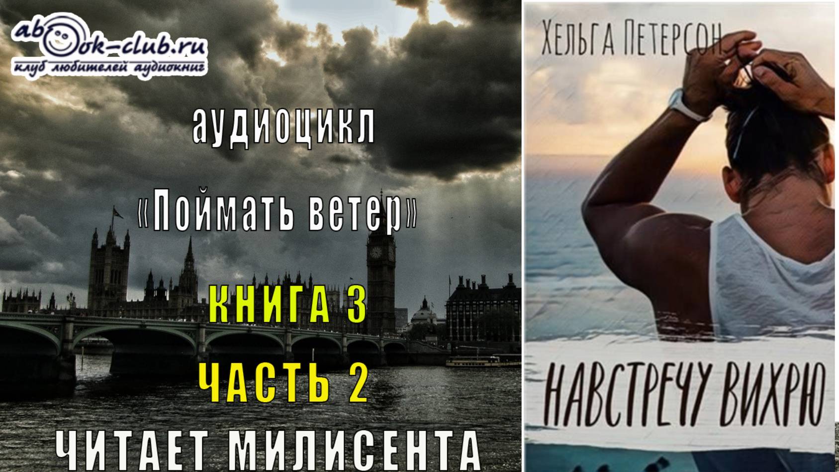 Хельга Петерсон "Поймать ветер" (книга 3) "Навстречу вихрю" (часть 2)