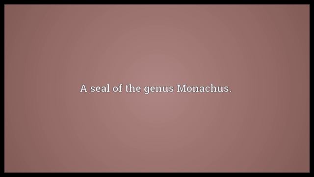 Monk seal Meaning смотреть онлайн