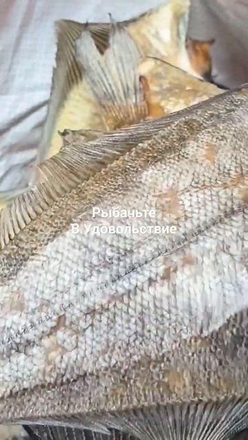 Мурманский вяленый ёрш.