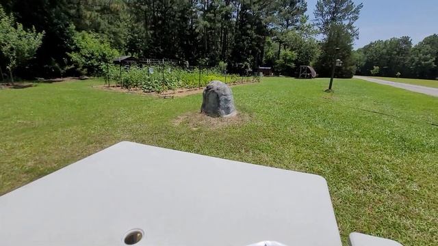 Hossinator Tomato Review! смотреть онлайн