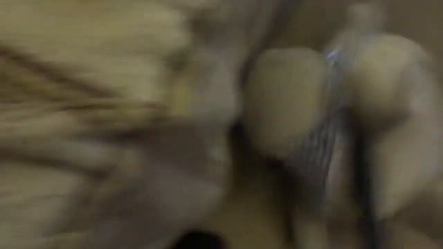 Camelion 5127 vs Бегемот смотреть онлайн