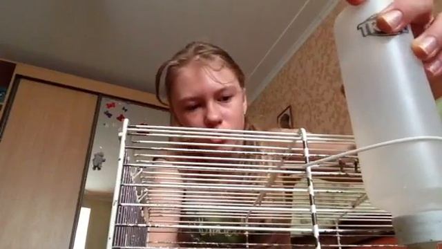 Уборка клетки