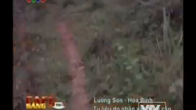 Hanoi Motocross Fly... смотреть онлайн