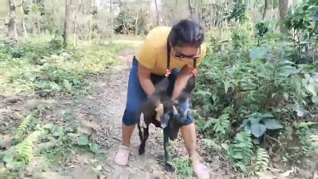 GoAt SittiNg Full Weight siittiNg goAt смотреть онлайн