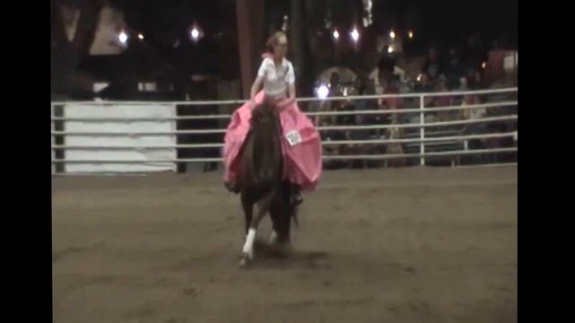 Lauren Streeter Youth Freestyle Reining смотреть онлайн