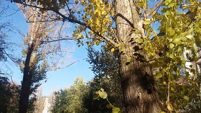 В прифронтовій Дружківці масово спалюють опале листя смотреть онлайн