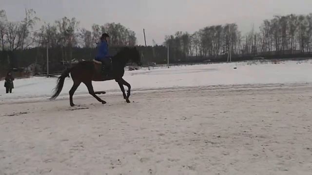 Настя на Импозантной2 смотреть онлайн