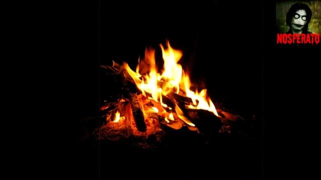 Существо в лесу. Страшные истории на ночь 🫣🫣🫣 смотреть онлайн