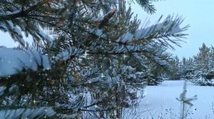 1000 СЛОВ О ЛЮБВИ. НАПОЛНЕННЫЕ СМЫСЛОМ ДНИ ВСЕГДА ИМЕЮТ ЧЬЁ - ТО ИМЯ.