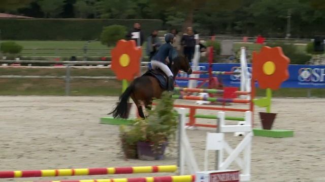 Tovie Star Troides Vainqueur des Cycles Classiques 6 ans Poney C смотреть онлайн