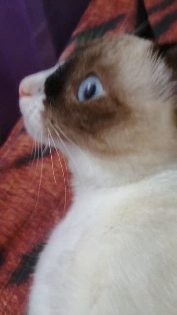 9 октября 2022 г.