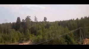 Вид из окна поезда по маршруту: Великие Луки - Нелидово.