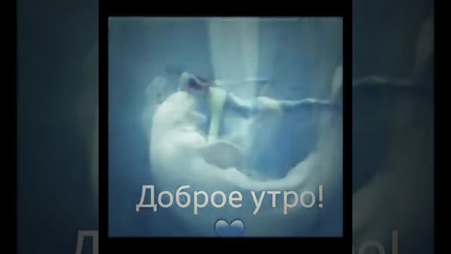Доброе утро 😃🌞☀️