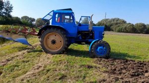 Трактор МТЗ-82 пашет с плугом Kverneland