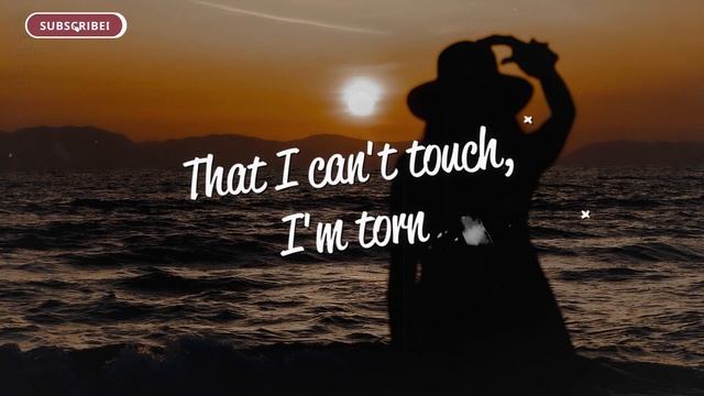 Campsite Dream - Torn (Lyrics)