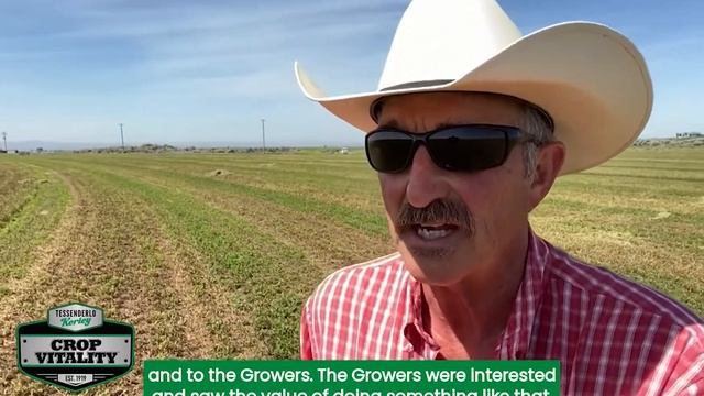 Essential Sulfur & Potassium for Alfalfa Crop смотреть онлайн